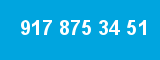917 875 34 51